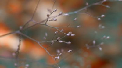 heap sort java feature image