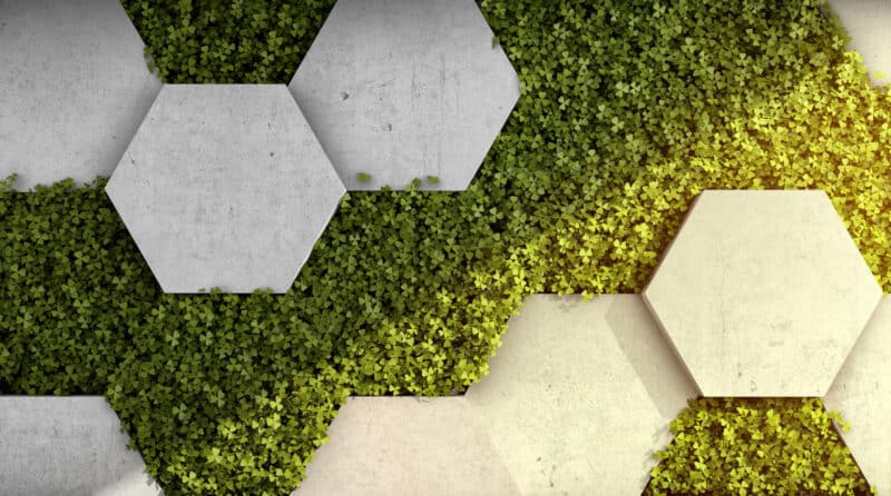 hexagonal architecture spring boot